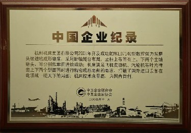 中國企業記錄（MKLD7140型數控強力（lì）雙磨頭緩進給成形磨床）