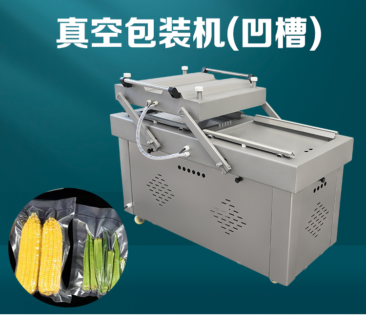 雙室（shì）真空包（bāo）裝機600型